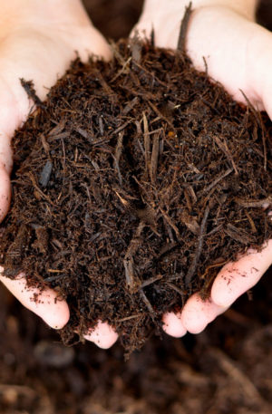 Hardwood Mulch